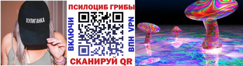 Псилоцибиновые грибы Psilocybe  как найти наркотики  Набережные Челны 